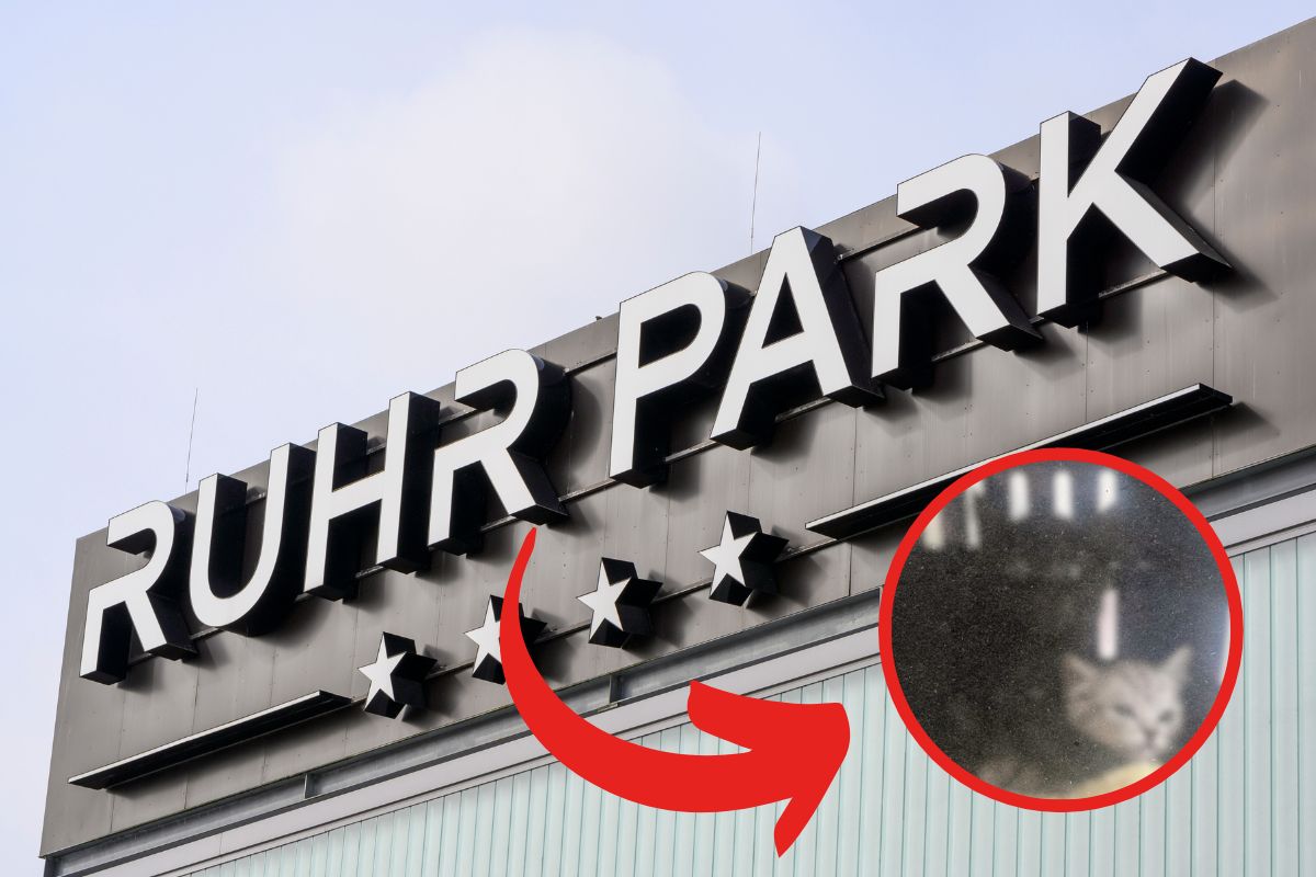 Ruhr Park Bochum: Besucher machen tragischen Fund – Tierheim hat üblen Verdacht