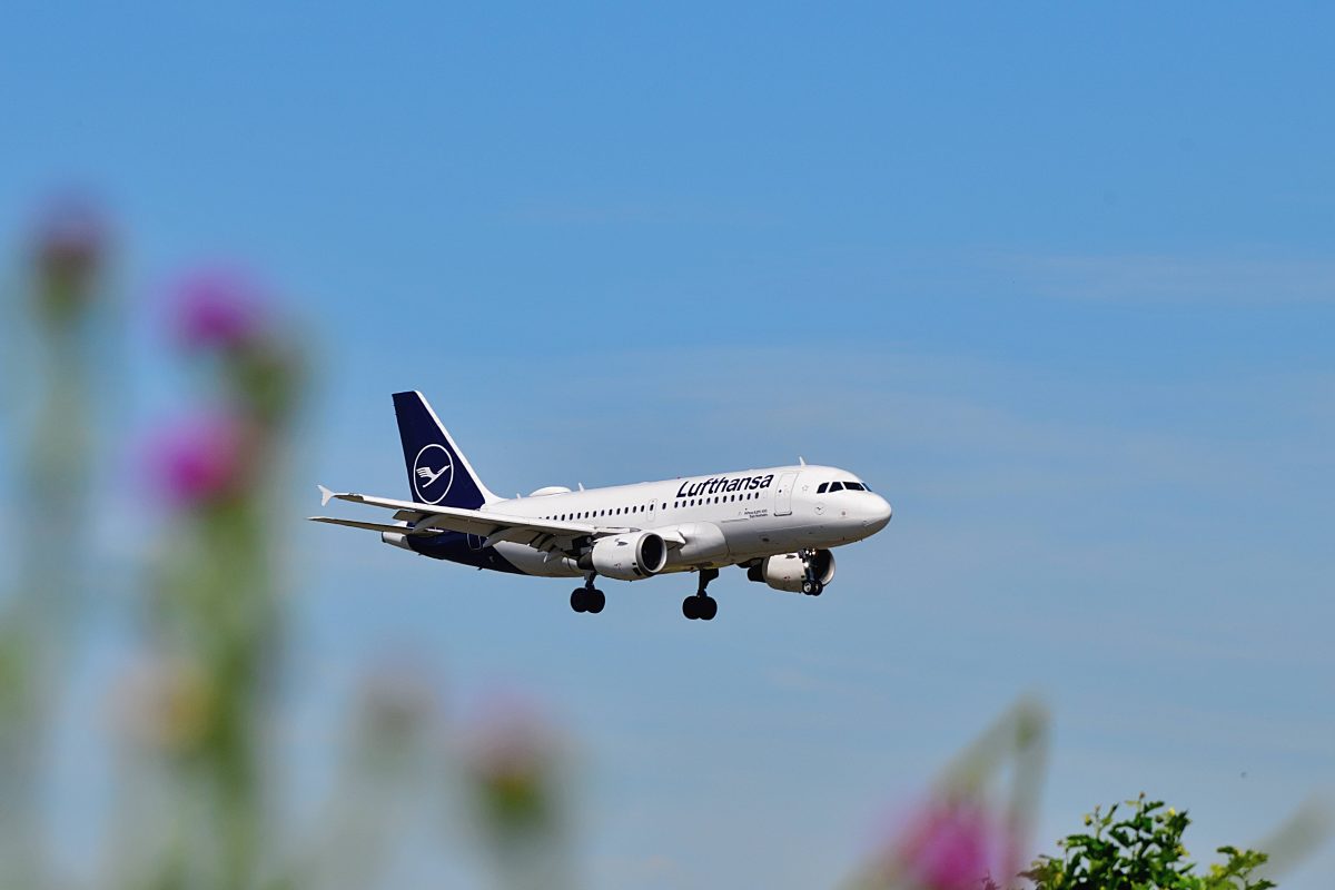 Lufthansa: Bittere Nachricht macht die Runde – Passagiere werden hellhörig