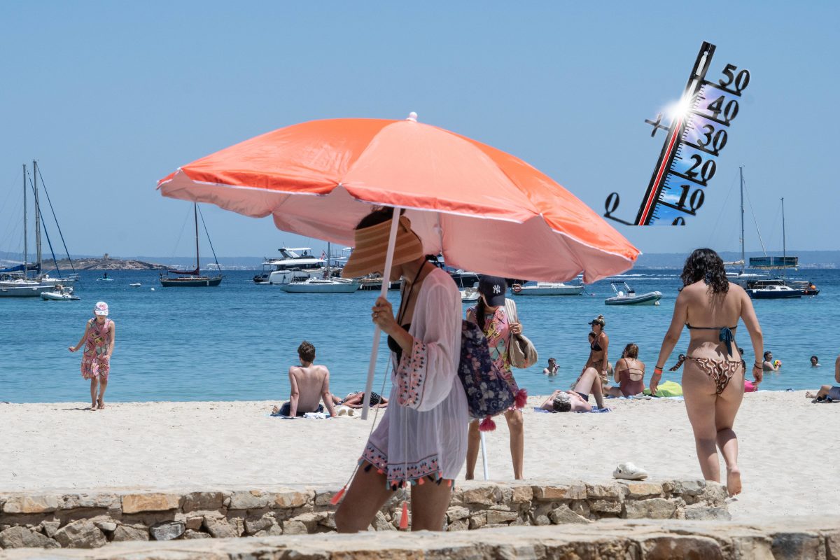 Wetter auf Mallorca: Heftige Hitzewarnung ausgesprochen – HIER wird es bis zu 40 Grad heiß