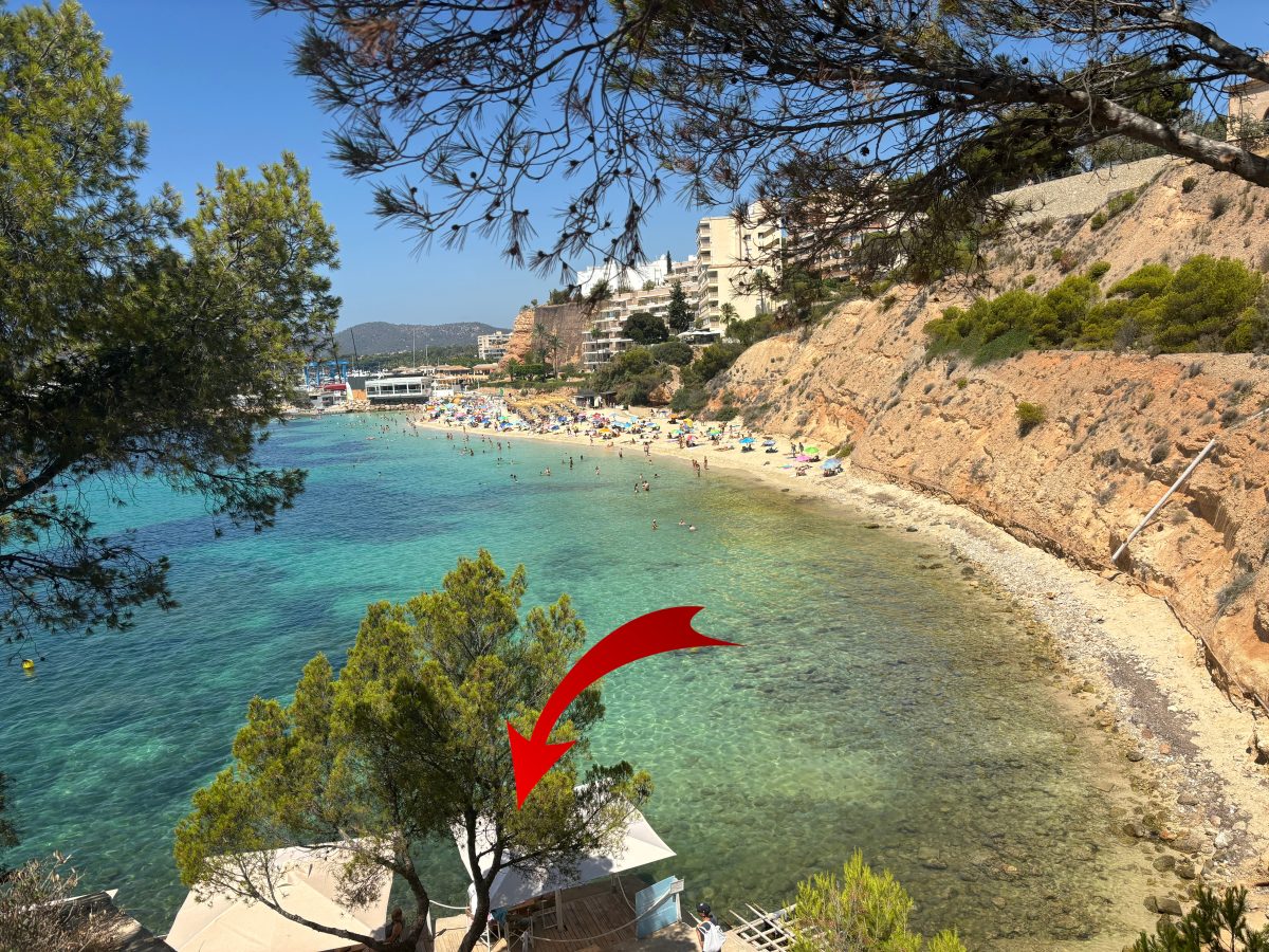 Urlaub auf Mallorca: Achtung Promi-Alarm! In DIESER Bar könntest du deinem Idol begegnen