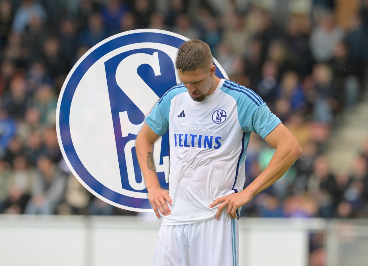 FC Schalke 04: Neuzugang verrät pikantes Transfer-Geheimnis – „Wollte nicht sofort zugreifen“