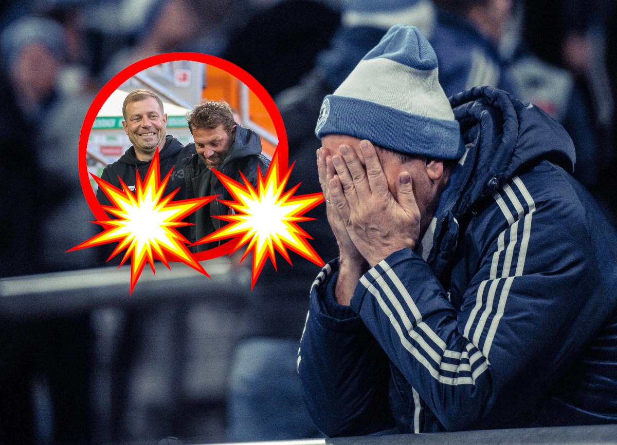 FC Schalke 04: Fans verstehen die Welt nicht mehr – Paukenschläge um zwei Trainer-Flops