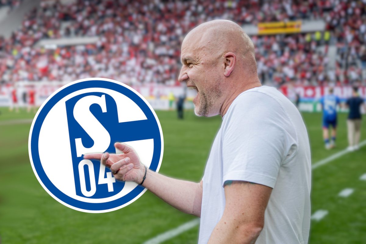 FC Schalke 04: Wieder Leipzig! Rouven Schröder bedient sich erneut bei S04