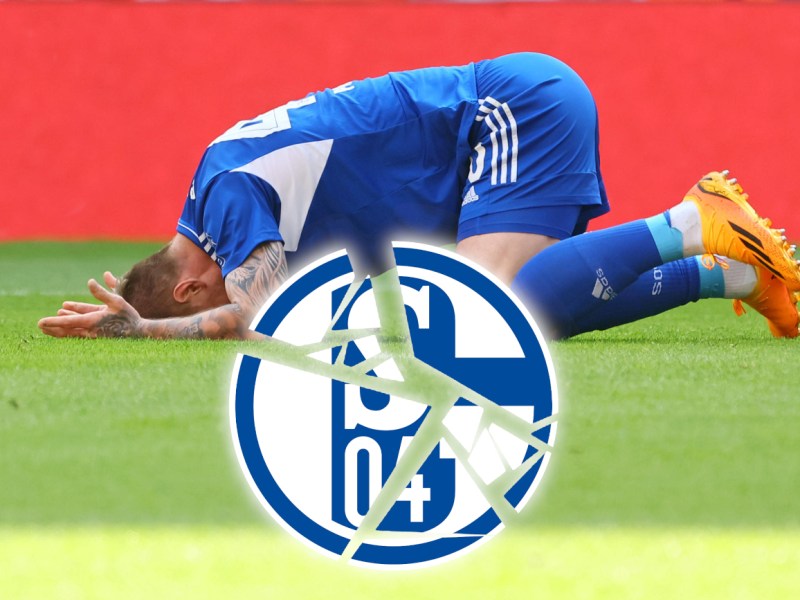 FC Schalke 04: Star floppt – Transfer-Plan geht böse nach hinten los