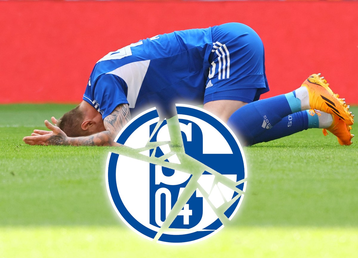 FC Schalke 04: Star floppt – Transfer-Plan geht böse nach hinten los