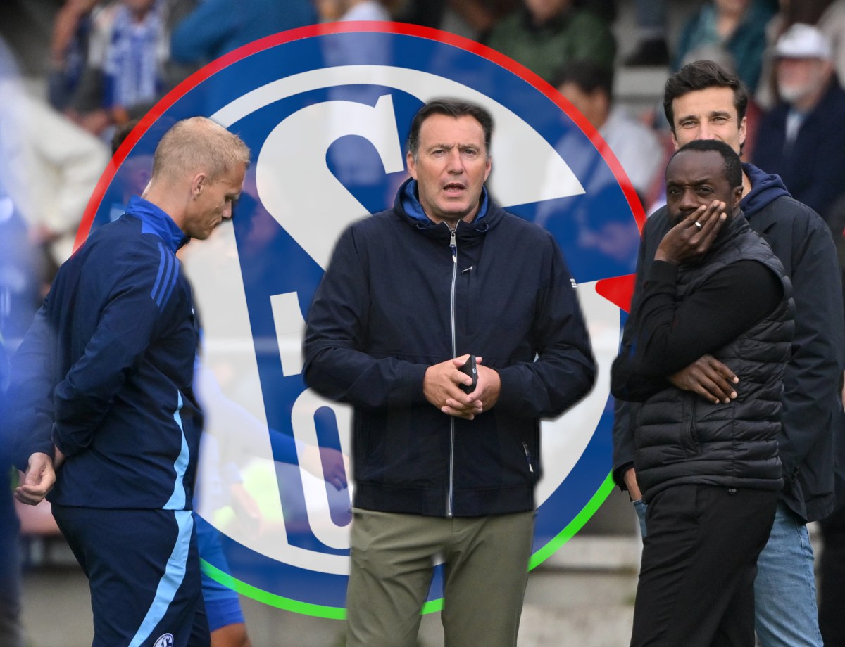 FC Schalke 04 mit riskantem Transferplan – geht DAS nach hinten los?