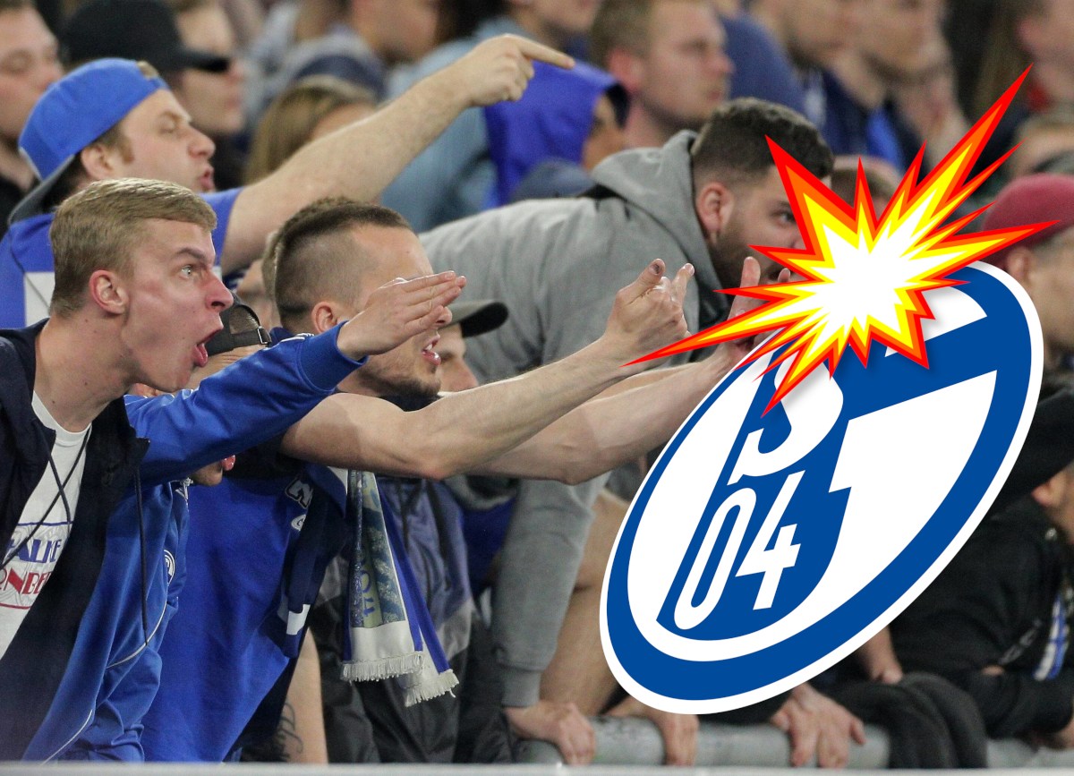 FC Schalke 04 ignoriert Fan-Rufe – jetzt gibt es die Quittung! „Läuft beschissen“