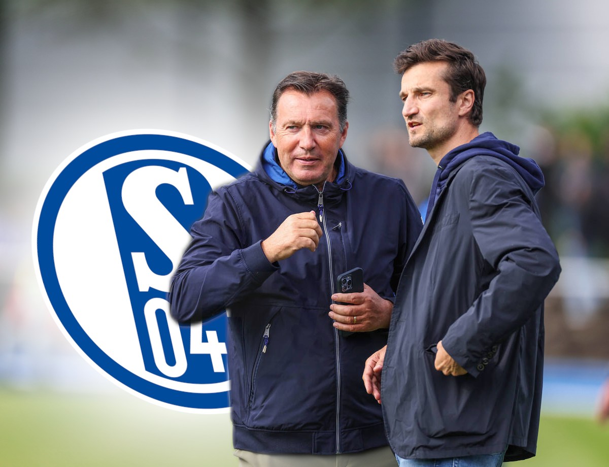 FC Schalke 04: Bittere Absage für Wilmots – Transfer-Hoffnung geplatzt