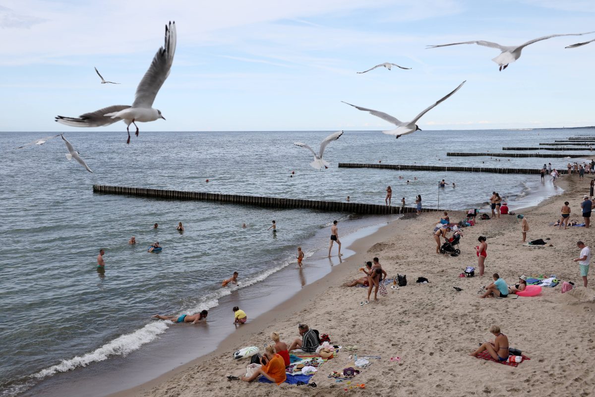 Urlaub an der Ostsee: Restlos überfüllt! Hier wird es komplett voll sein