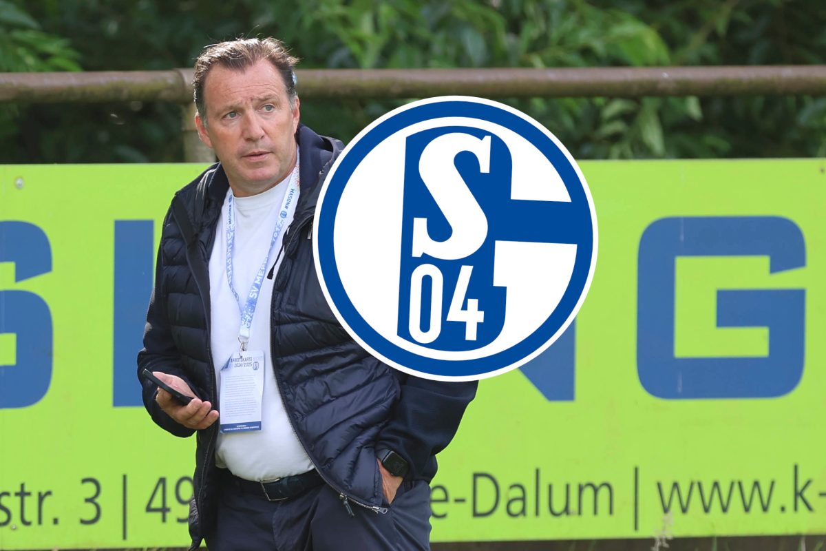 Marc Wilmots hat beim FC Schalke 04 große Pläne.