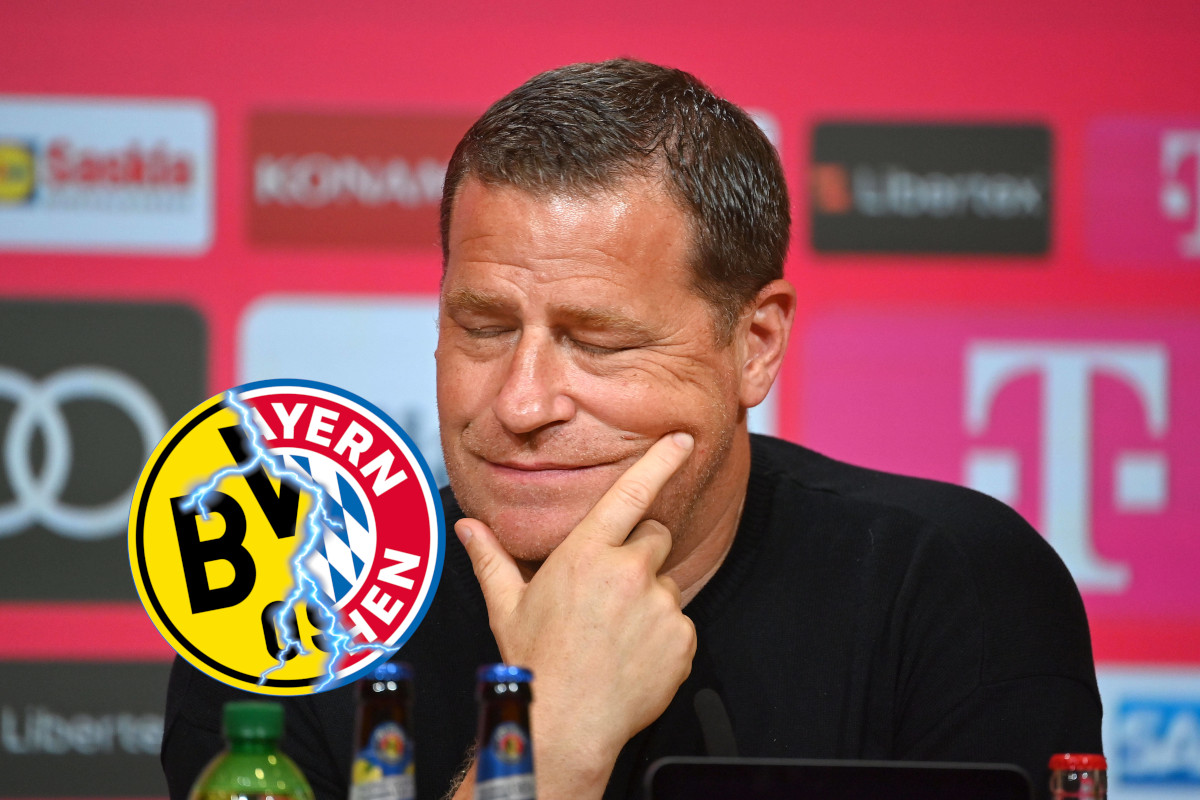 BVB Bayern Muenchen