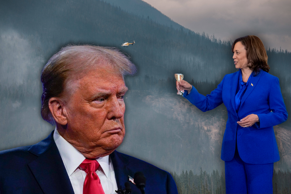 Trump erlebt beinahe ein Hubschrauberabsturz mit mit Kamala Harris' Ex? Der dann auch noch mit ihm über sie lästert? Trumps neueste Story sorgt für Lacher – und Kopfschütteln.