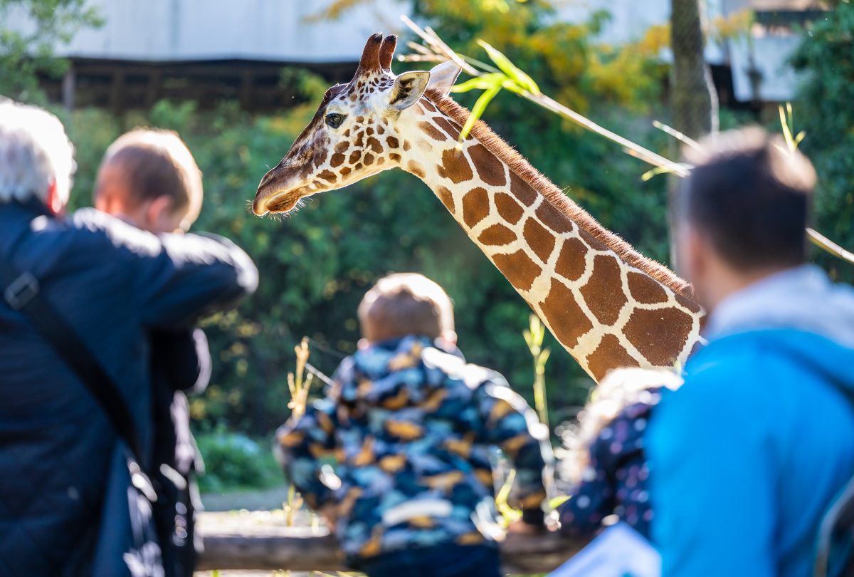 Zoo Duisburg