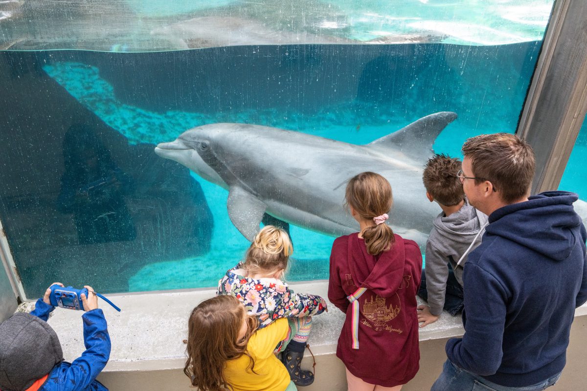 Demo im Zoo Duisburg gegen Delfinhaltung