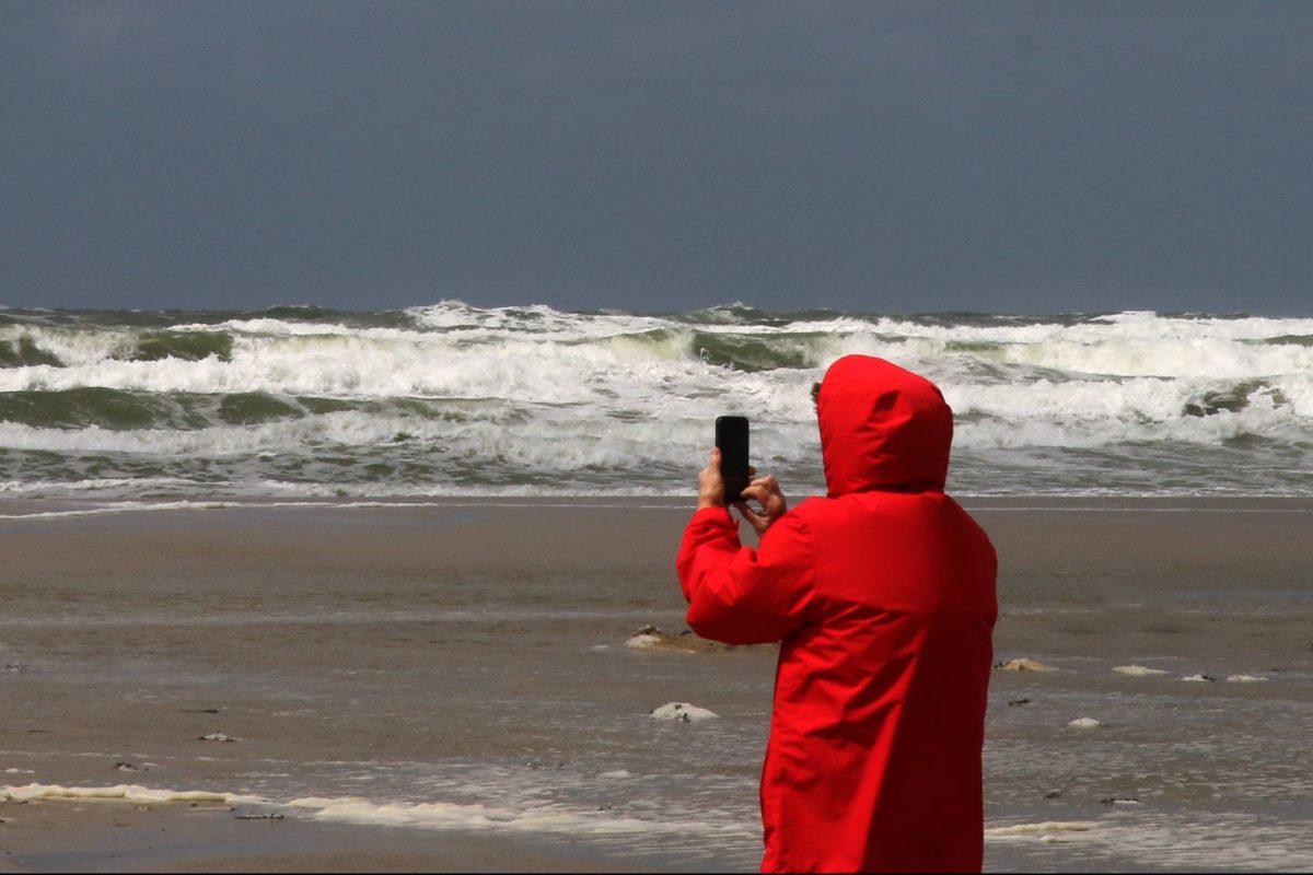 Urlaub an der Nordsee: Frau findet Skelett am Strand – sie befürchtet sofort das Schlimmste