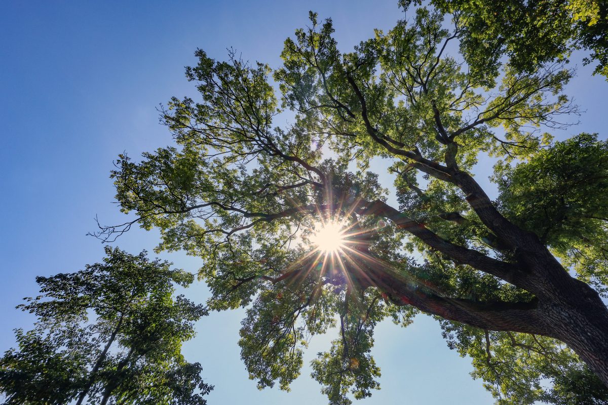 Das Wetter in NRW bringt den Sommer wieder