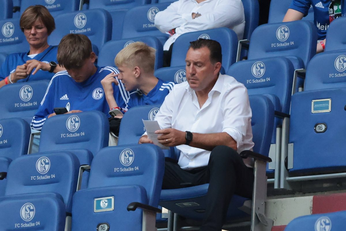 FC Schalke 04: Traumstart! Doch Wilmots drückt sofort auf die Bremse