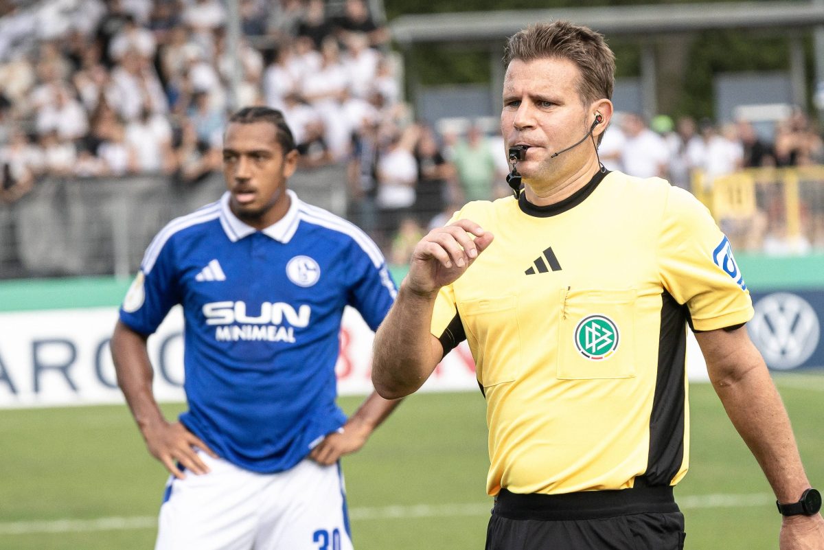 Felix Brych stand beim Spiel des FC Schalke 04 im Fokus.