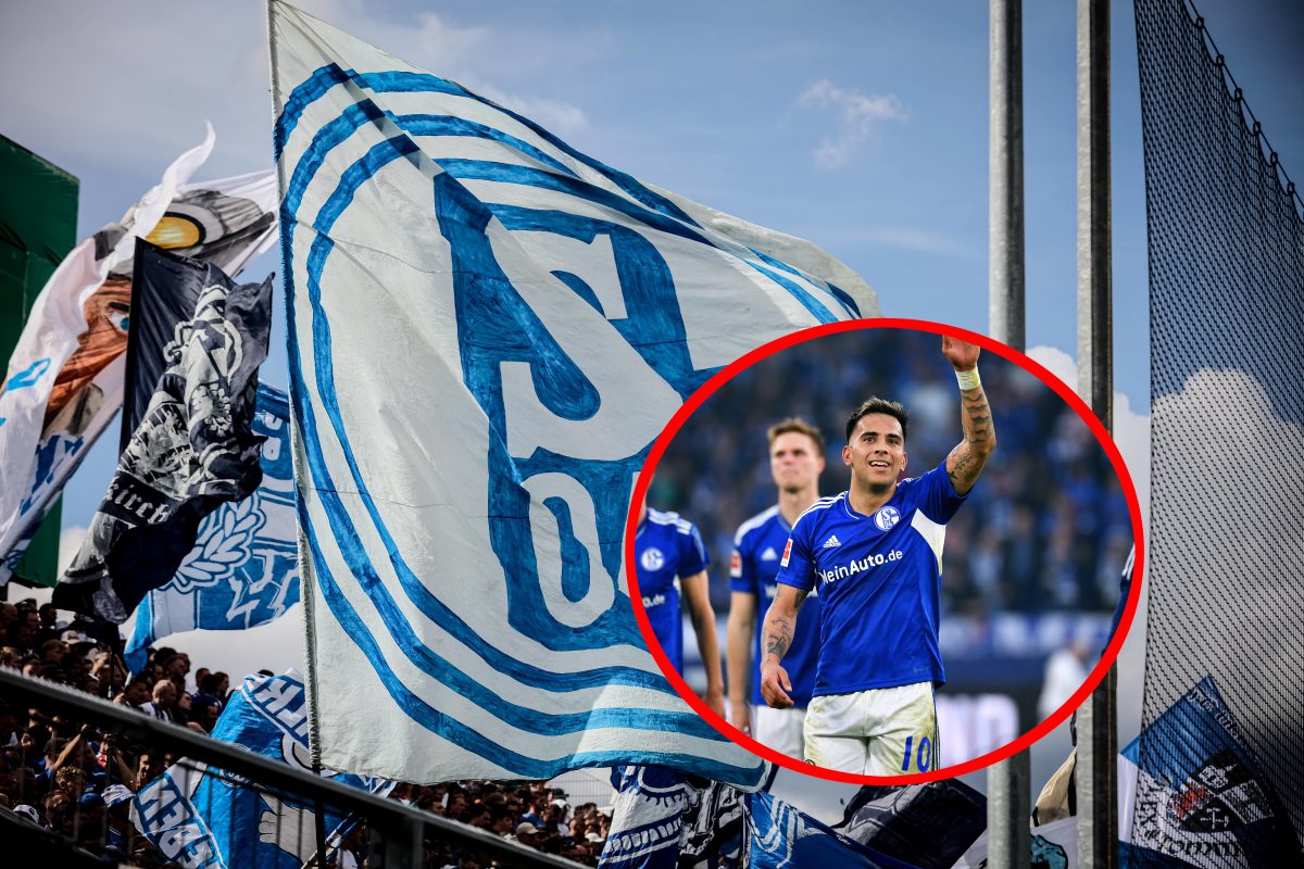 Bei Schalke 04 geht es Schlag auf Schlag, der nächste Neue ist da! Dieser Transfer ist für viele Fans wohl ganz besonders.