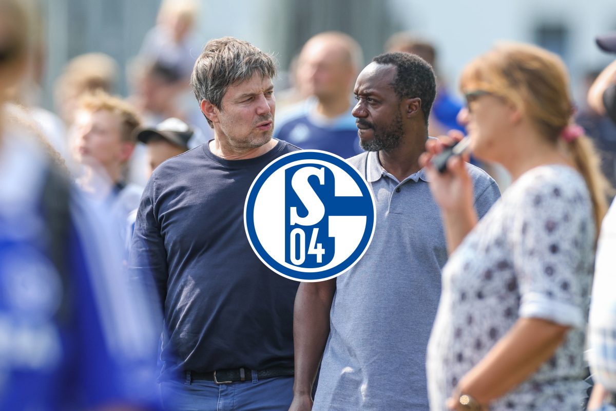 Der FC Schalke 04 hat schon einiges auf dem Transfermarkt umsetzen können. Und doch sind noch einige Lücken im Kader zu schließen.