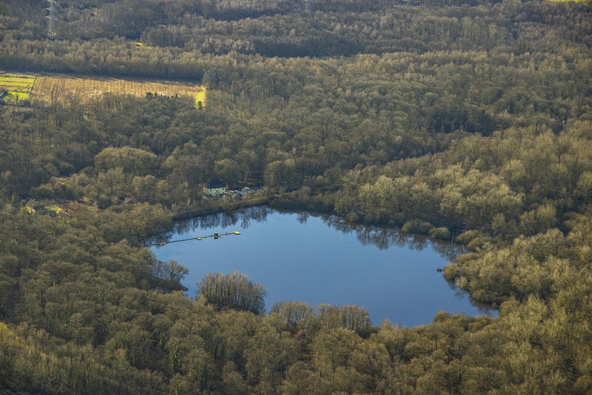 Entsetzlicher Anblick in Dortmund – Spaziergänger entdecken Hunderte tote Tiere