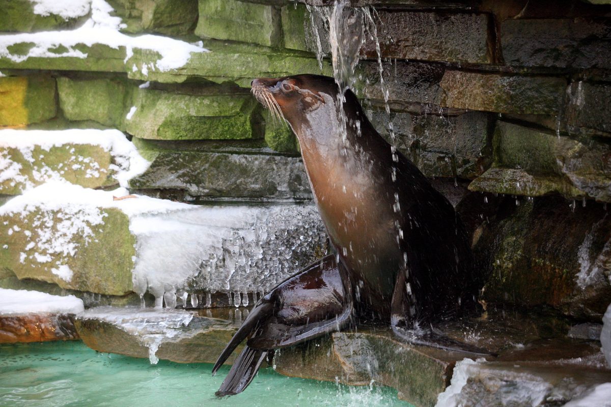 Zoo Dortmund