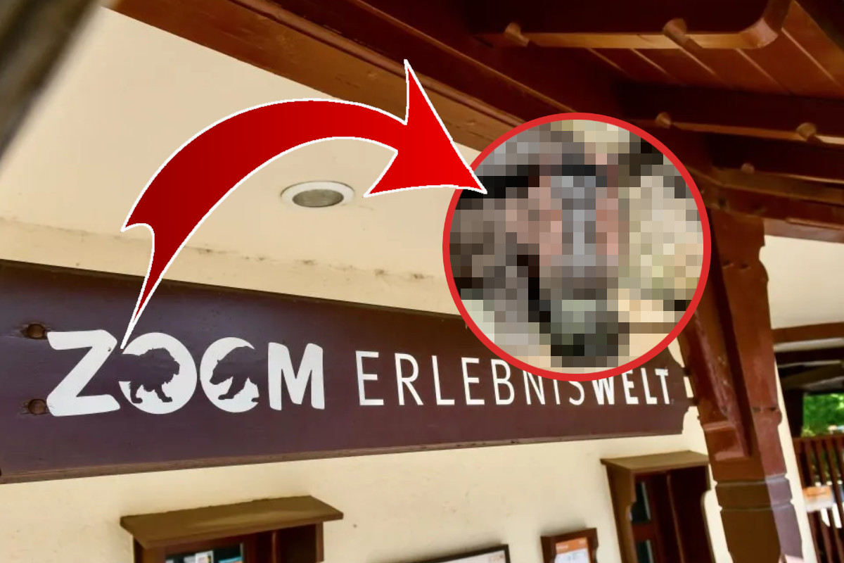 Zoom Gelsenkirchen teilt Video – diese Aufnahmen lassen Besucher ausrasten