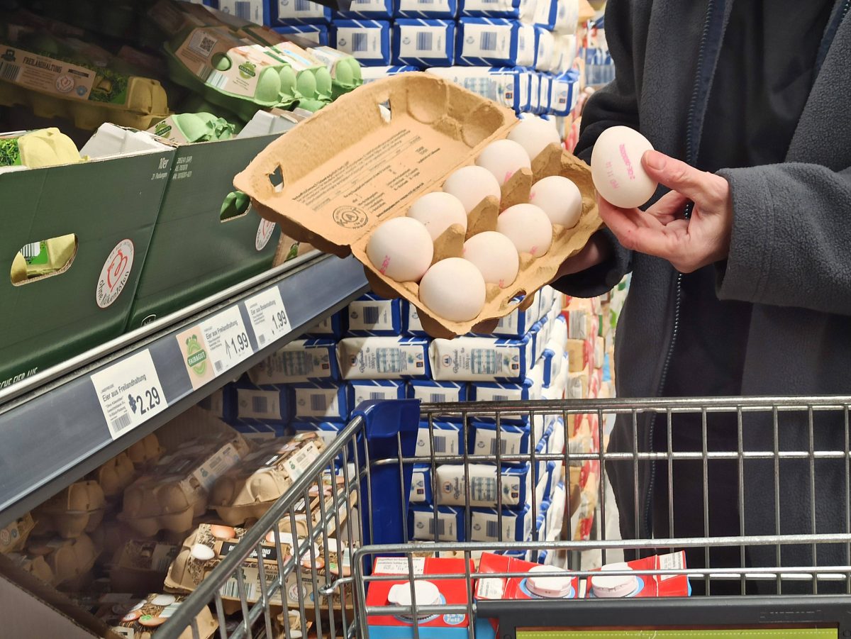 Ein Aldi-Kunde kann nicht fassen, was er in den gekauften Eiern entdeckt! (Symbolfoto)