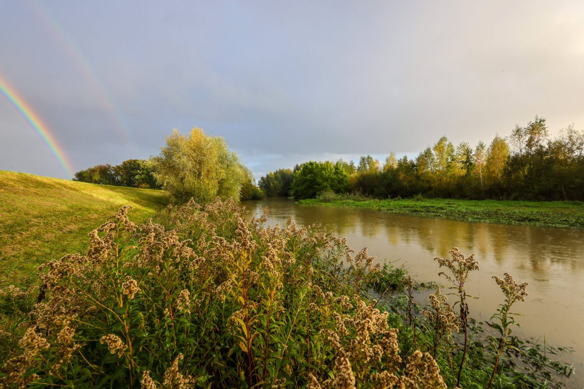 Wetter in NRW: Herbst tritt auf die Bremse.