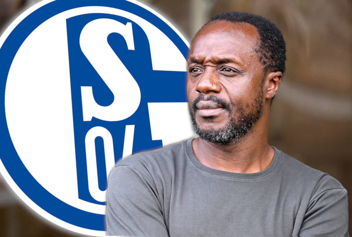 Schalke Manga Trainer