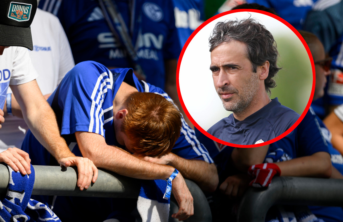 Schalke Raul Fans