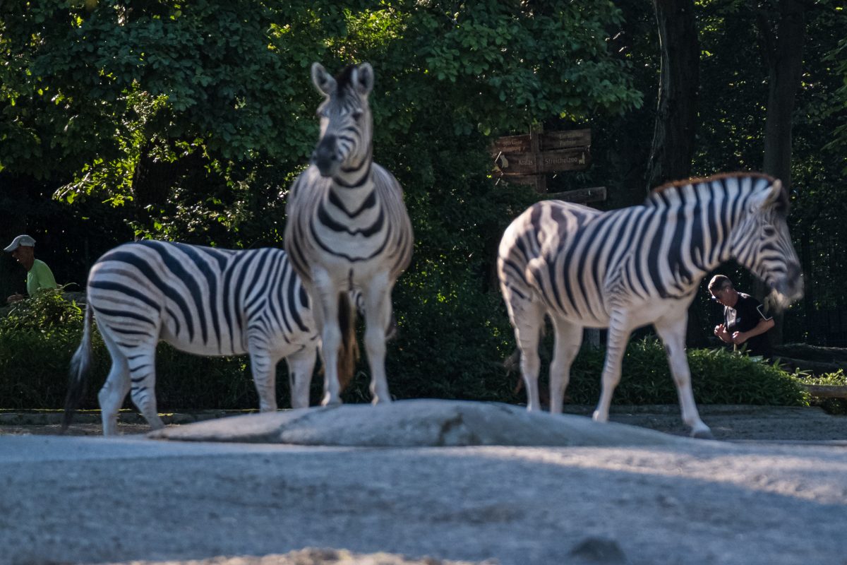 Zoo Duisburg