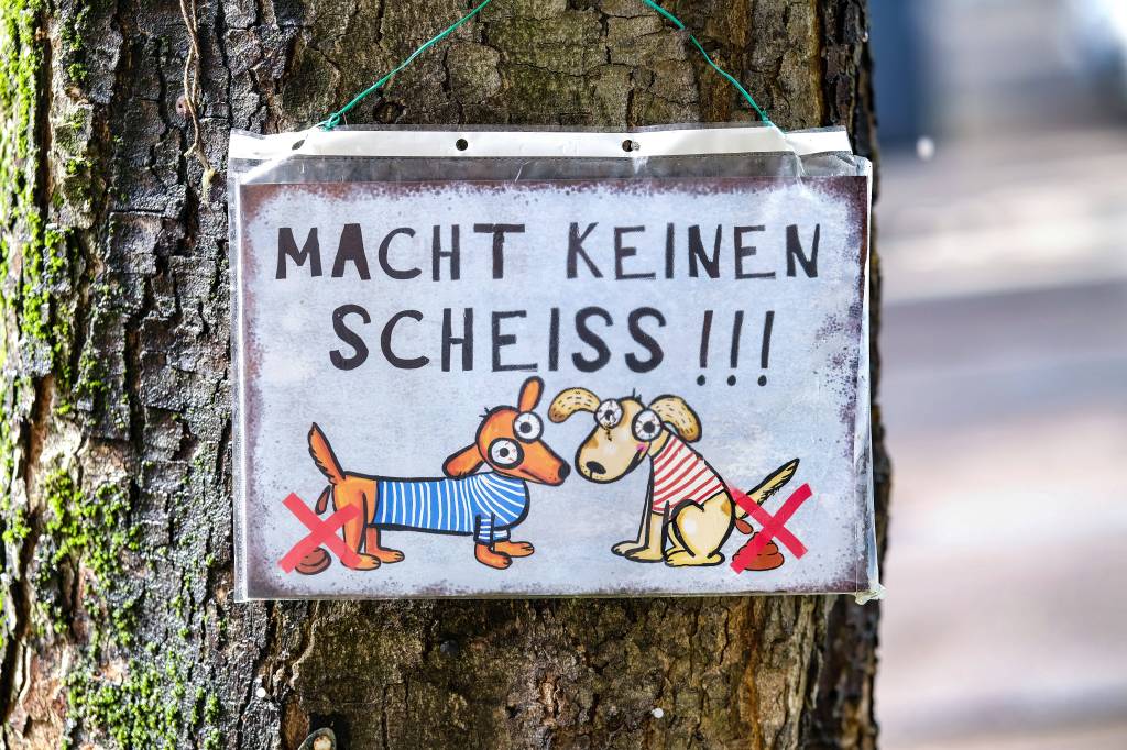 Selbstgemaltes Schild hängt an einem Baum in Düsseldorf. Auf dem Schild sieht man zwei Hunde, die koten, durchgestrichen und mit dem Text: 'Macht kein Scheiß'