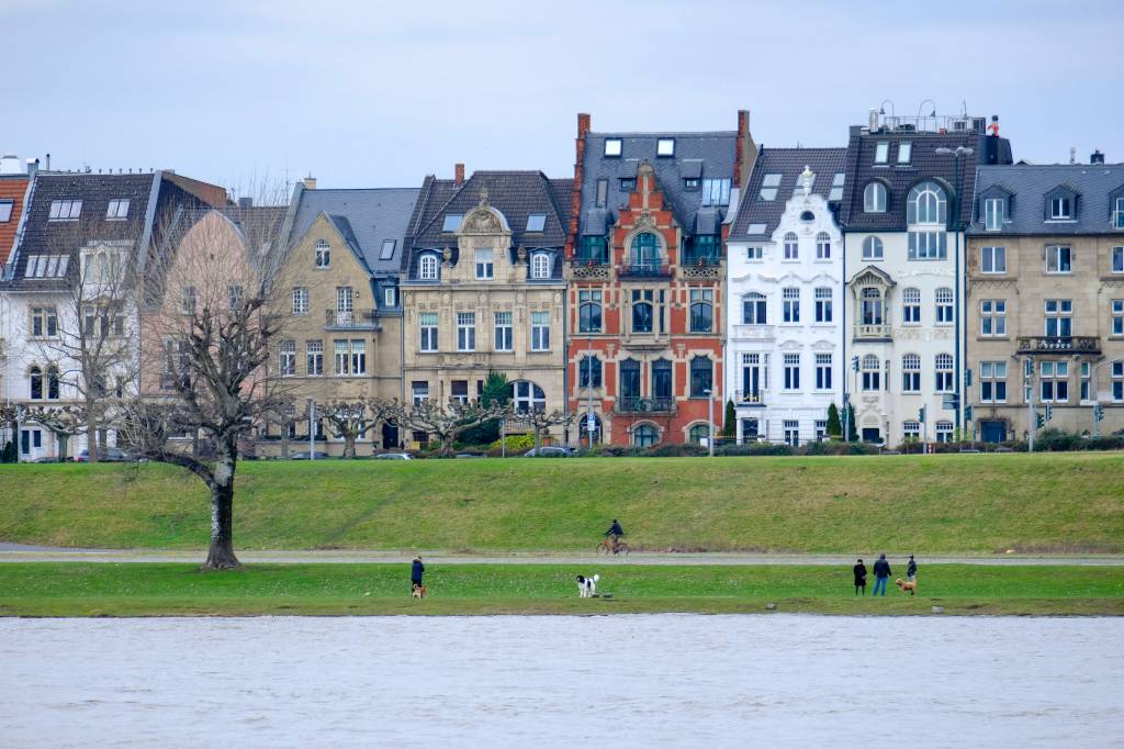 Hund läuft am Ufer des Rheins, im Hintergrund die pompösen Fassaden am Ufer von Düsseldorf.