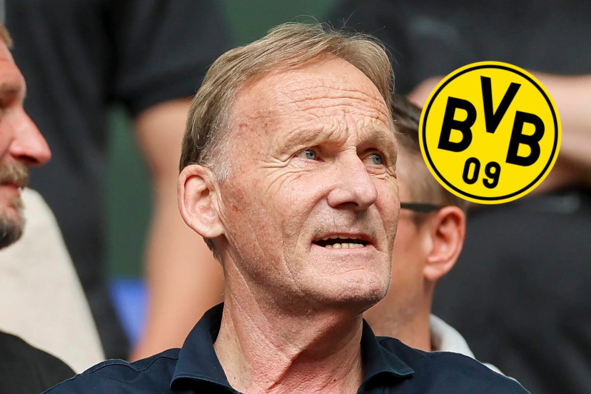 Borussia Dortmund: Fanshop