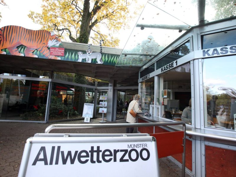 Zoo in NRW: Junge steht ganz dicht am Gehege – seine Eltern trauen ihren Augen kaum