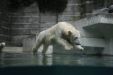 Zoo in NRW: Geheimnisvolle Gestalten sind im Dunkeln unterwegs.