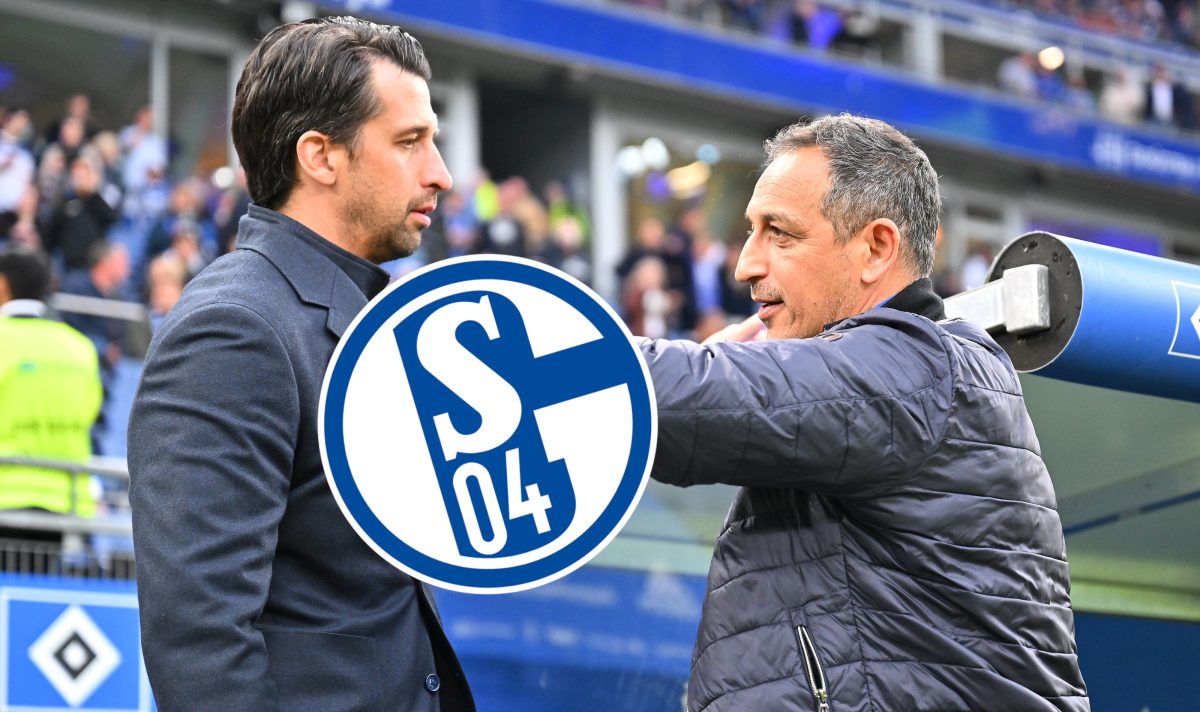 Schalke 04 hat weiterhin keinen Nachfolger fÃ¼r Marc Wilmots prÃ¤sentiert. Jetzt kÃ¶nnte ein Ex-Manager der Konkurrenz zum Thema werden.