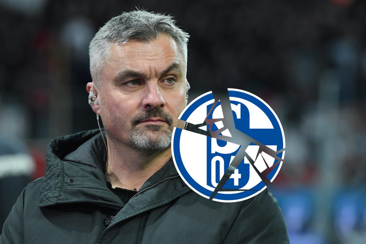 Thomas Reis tritt gegen die Vereinsverantwortlichen des S04 nach. Seine Worte Ã¼ber seinen Ex-Klub sich unmissverstÃ¤ndlich.