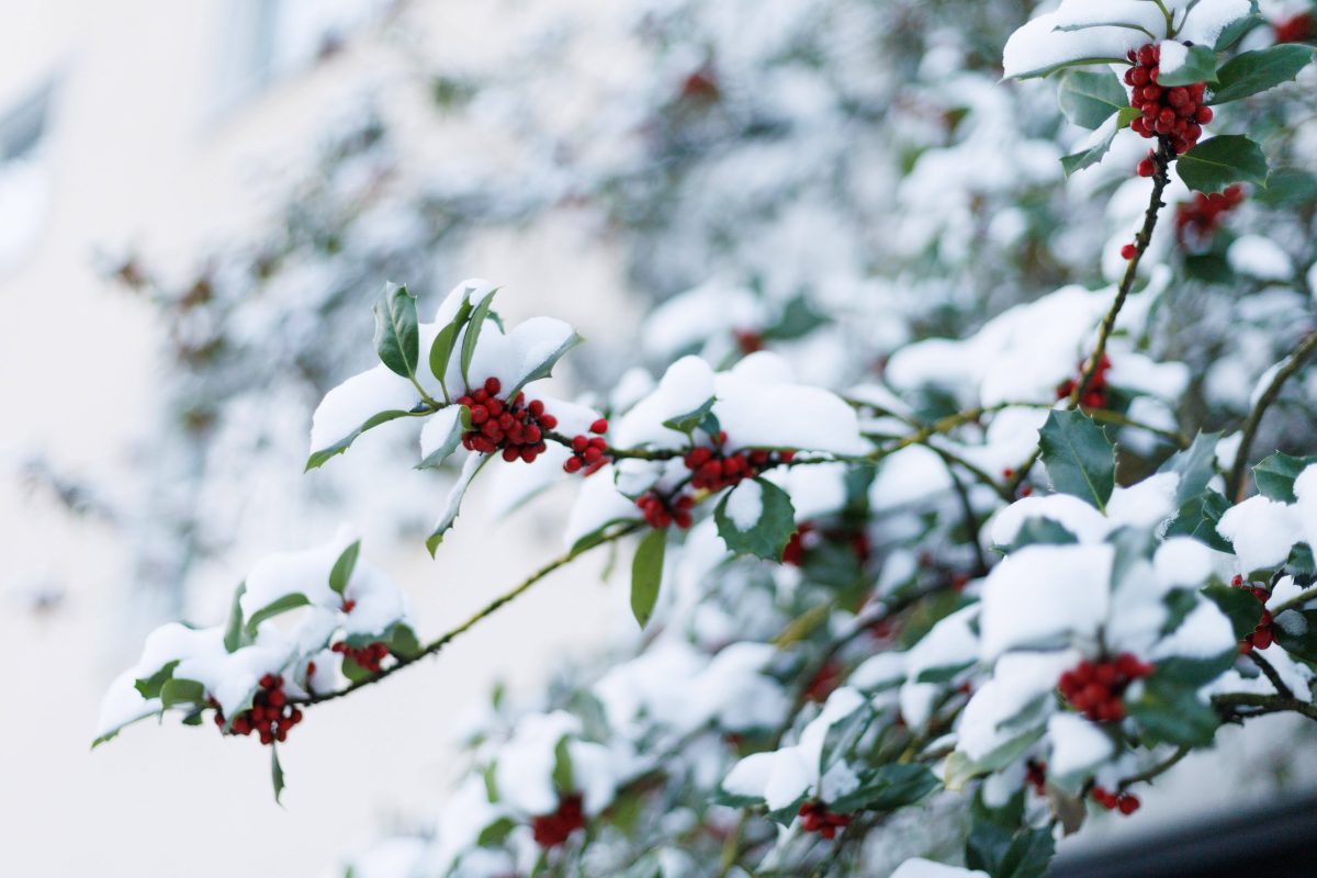 wetter-in-nrw-f-llt-schon-der-erste-schnee-experte-baff-was-ist-denn-jetzt-schon-wieder-los