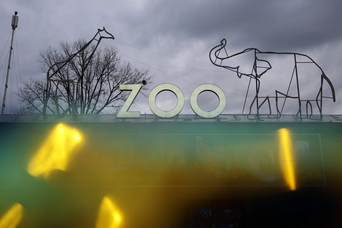 Zoo NRW