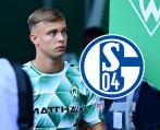 Schalke Topp