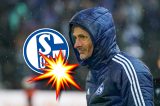 Was plant Kees van Wonderen beim FC Schalke 04?