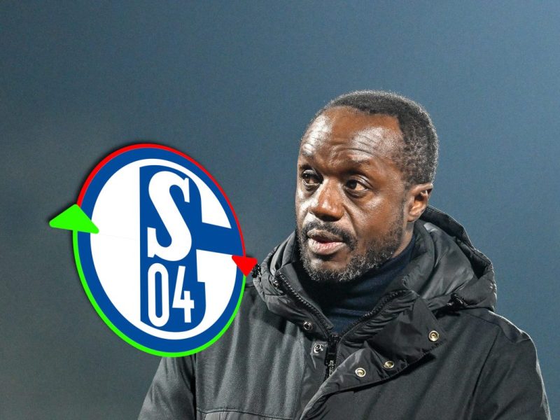 FC Schalke 04 – Transfer-News und Gerüchte: Van Wonderen lässt über Winter-Transfers aufhorchen