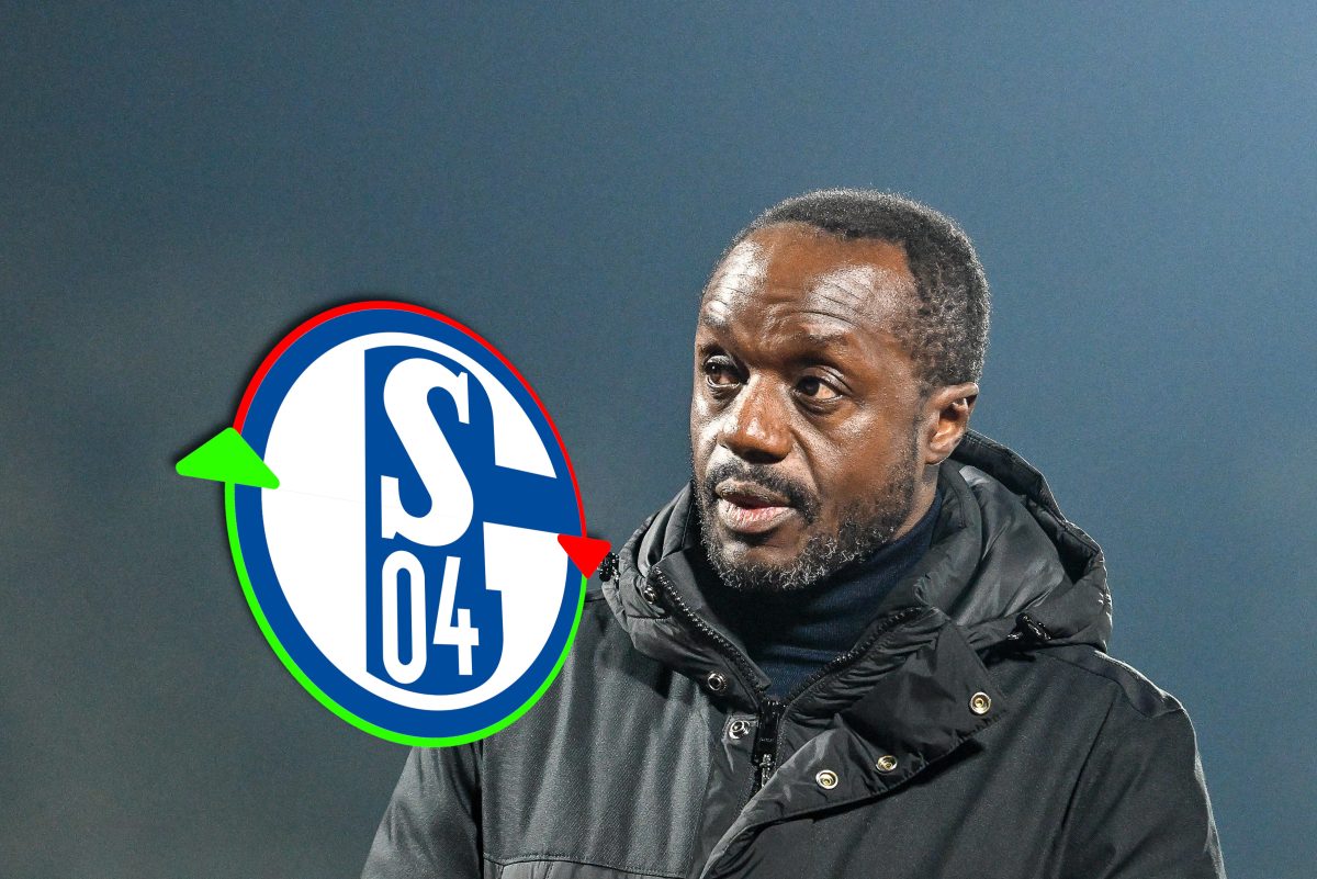 FC Schalke 04 – Transfer-News und Gerüchte: Jubel bei Fans! Nächster Hammer steht bevor