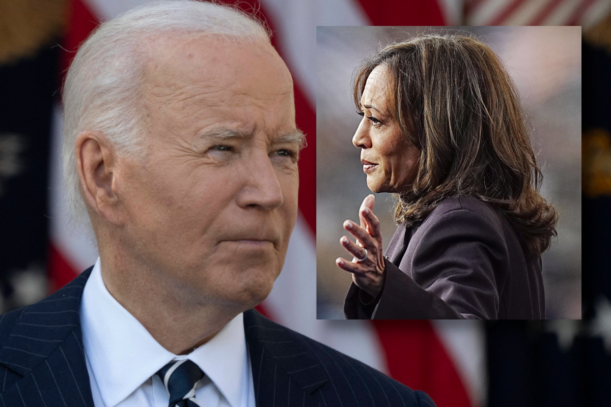 kamala-harris-so-k-nnte-sie-trump-doch-noch-stoppen-bidens-geheimplan