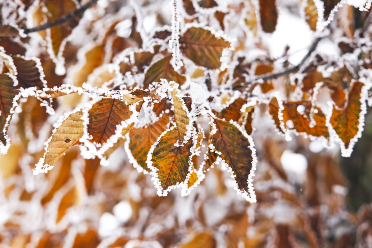 Wetter in NRW