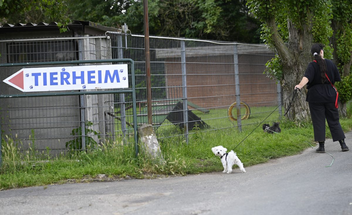 Schild "Tierheim"