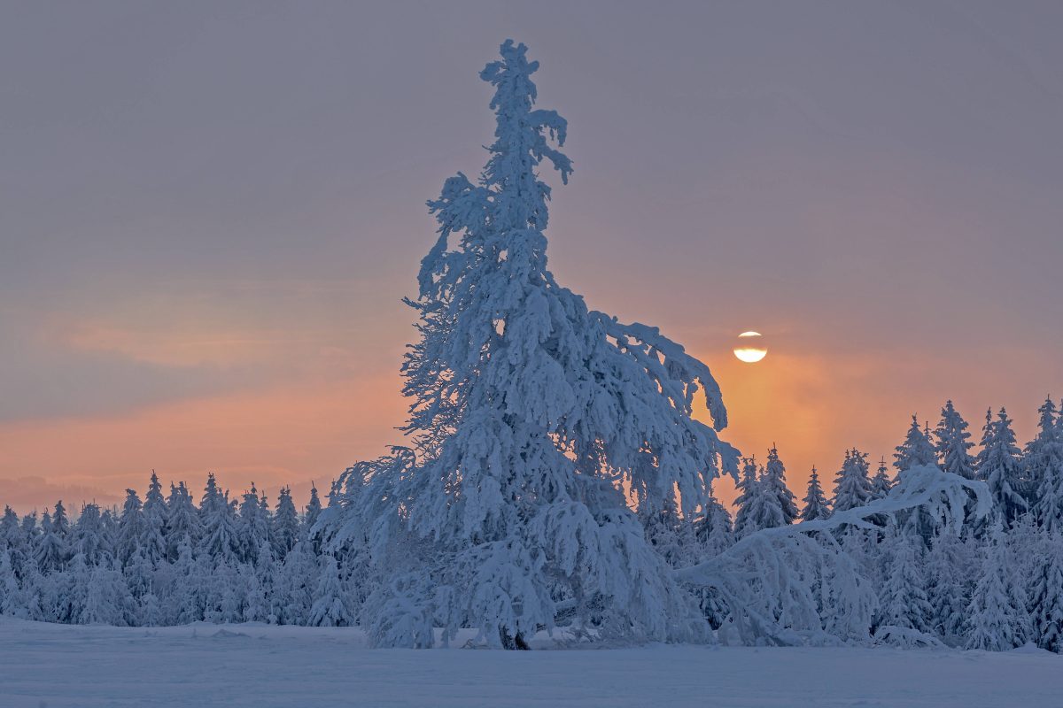 wetter-sturz-in-nrw-minus-35-grad-prognose-l-sst-experten-zittern-uiuiuiuiui