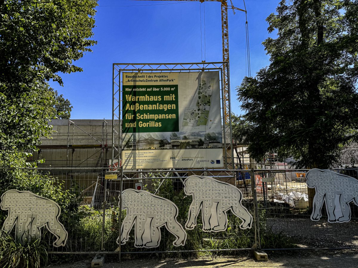 Zoo in NRW muss Tiere zusammenführen – was im Gehege passiert, rührt zu Tränen